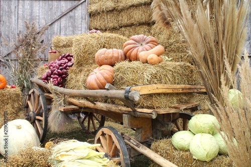 Rustic wooden cart loaded with straw bales and large orange pumpkins, surrounded by fresh cabbage, red onions, corn cobs, and dry ornamental reed grass for a seasonal autumn harvest exhibition.