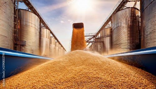 a vibrant scene at a grain storage facility showcasing golden grains spilling from a conveyor belt with towering silos in the background