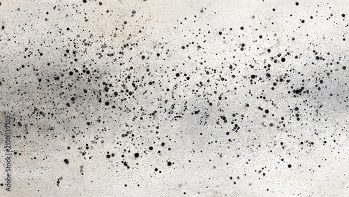 Spray Paint Grit Texture With Black Aerosol Speckle on Pale Concrete