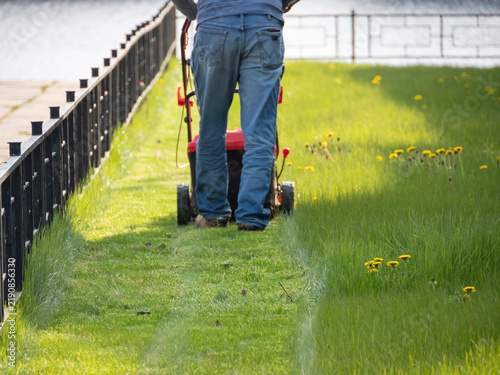 A man with a lawnmower is mowing the grass in a close‑up