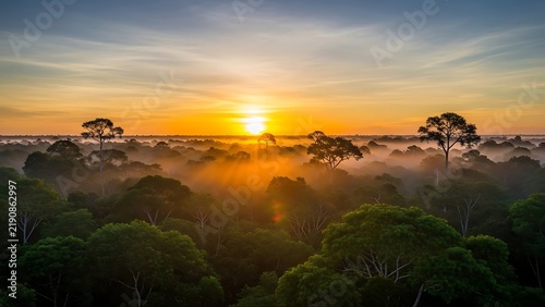 Panoramic sunrise view over misty rainforest valley.