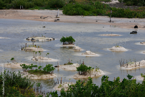 Sandy islets in the middle of the swamp.