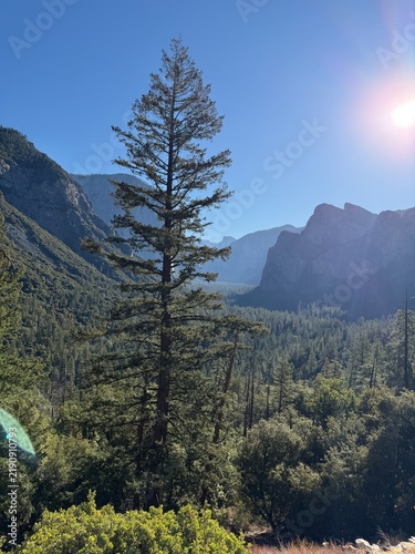 Canvastavla yosemite national park, sunset