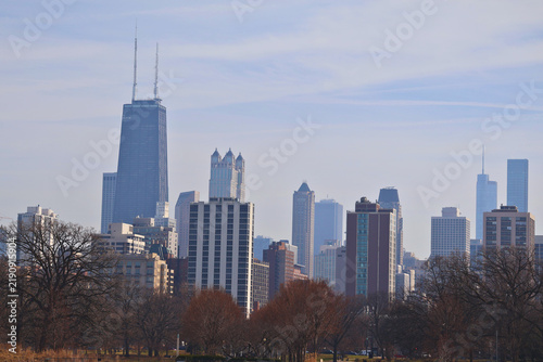 Chicago Skyline and Trees 3