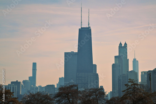 Chicago Skyline and Trees 2