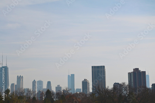 Chicago Skyline and Trees 4
