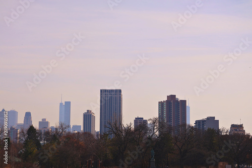 Chicago Skyline and Trees
