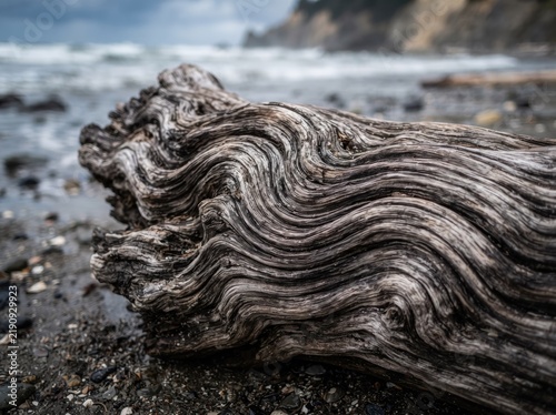 Gnarly driftwood log with intricate textures on a rocky beach shore.