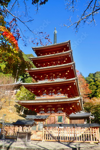 秋の長谷寺・五重塔（奈良県・桜井市）