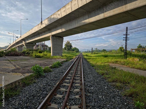 Konstfotografi Railway track extending beneath a massive elevated concrete viaduct through a gr