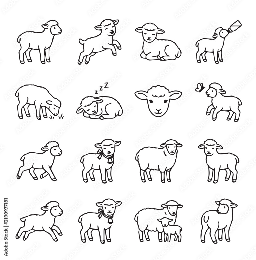 Obraz premium Cute sheep and lambs in various simple line drawing poses for children's books and farm themes