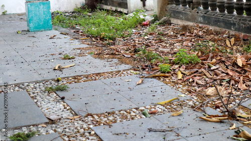 Konstfotografi Unkempt garden walkway with gray tiles, fallen leaves and wild weeds
