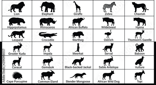 Photography African safari wildlife animals black silhouettes grid chart with identification