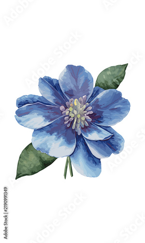 Blue flowers in full bloom with delicate petals