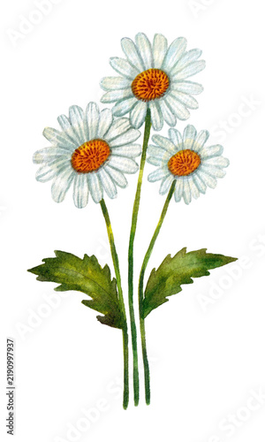 bouquet of flowers