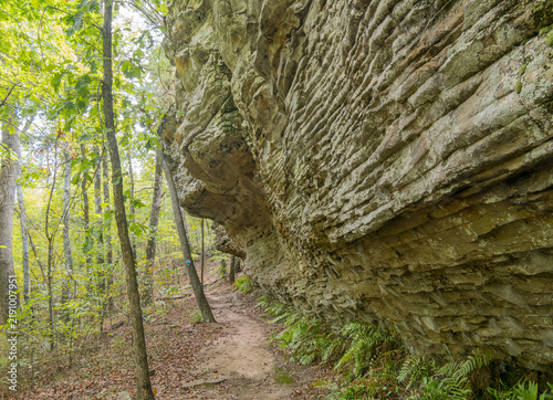 Rocky cliff face along a forest hiking trail