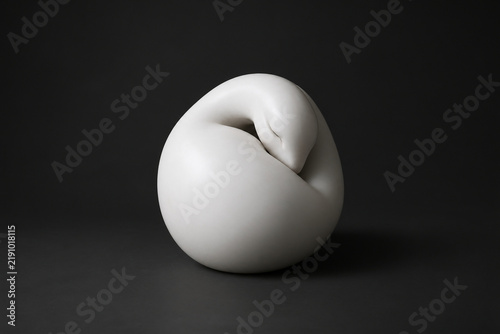 A single smooth, white ovoid form curled protectively against a charcoal background.