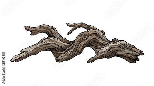 Detailed illustration of a piece of dry, weathered driftwood. Ideal for coastal nature, beachcombing, rustic decor, and marine environment themes.