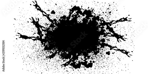 Abstract black ink splatter and splash on a white background, resembling organic and chaotic patterns with dynamic energy.