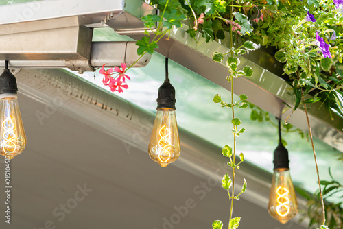 Light bulb hangs outdoor. Yellow glow lights plant. Green leaf decorates background. Pink flower adds color.