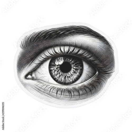Close-up illustration of a human eye with detailed eyelashes and pupil