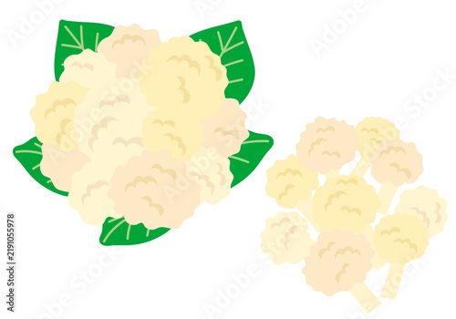 Naklejka 白色のカリフラワーのイラストセット