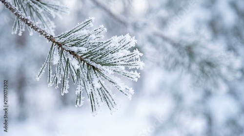 
Frost-covered pine branch with delicate ice crystals against a soft winter background