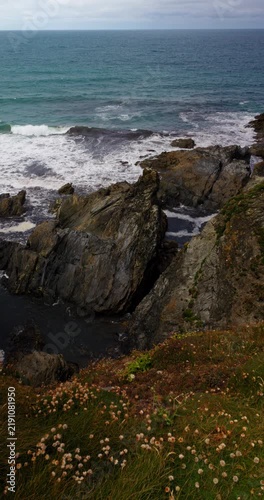Waves breaking into a rocky cove beneath grassy cliffs in Cornwall, England, UK. Coastal wildflowers overlook the sea under a cloudy afternoon sky. Vertical han