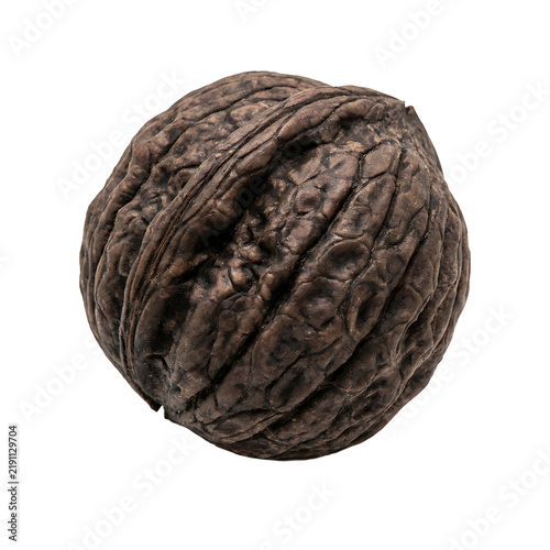 Fresh Black Walnut Shell Isolated On Transparent Background