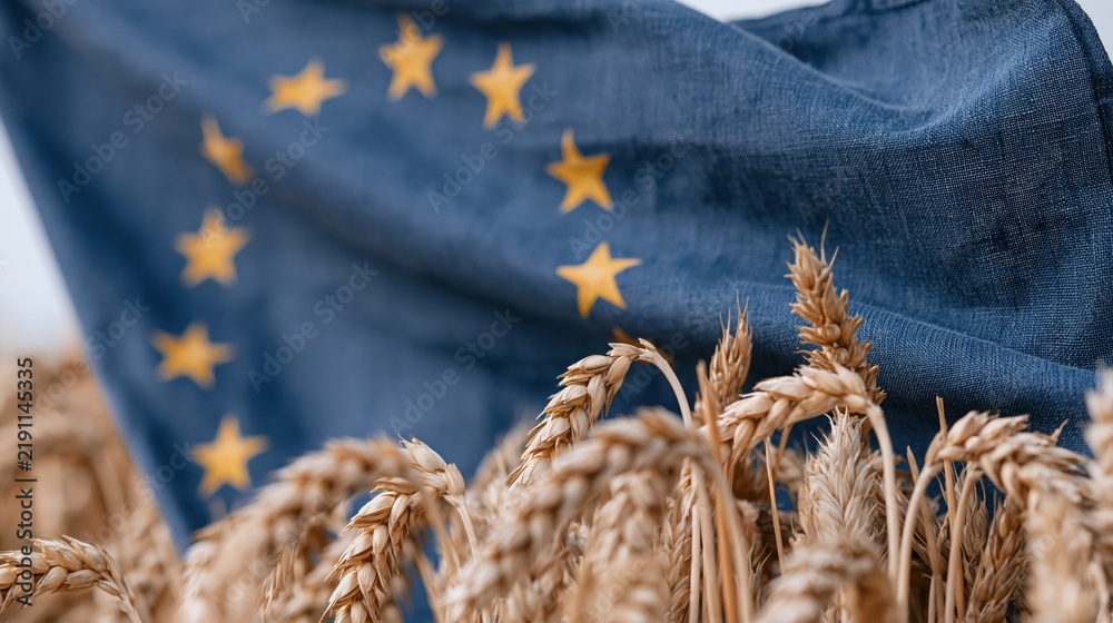 Obraz premium The EU flag fluttering beside a golden wheat field under a clear sky