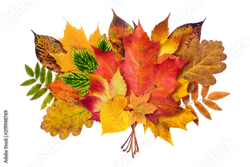 Autumn foliage bouquet isolated transparent png