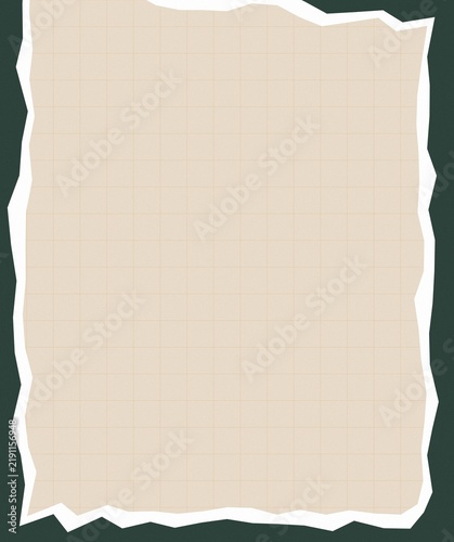 Paper Sheet with Torn Edges, Grid Pattern Background, Vintage Texture, Aged Look, Blank Space for Text, Design Element.