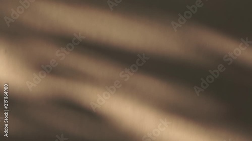 Soft Shadow Overlays on Warm Beige Wall Background