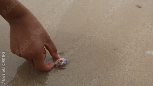 Hand reaching to pick up a seashell from the wet sand on a beach, close-up of a person's fingers and shell.