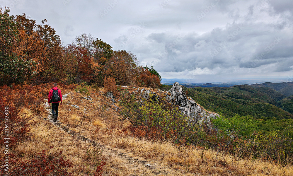 Fototapeta premium Hiker walking along the rocky ridge of Köpüs-kő surrounded by early autumn forest and dramatic cloudy scenery in the Bükk Mountains, Hungary.