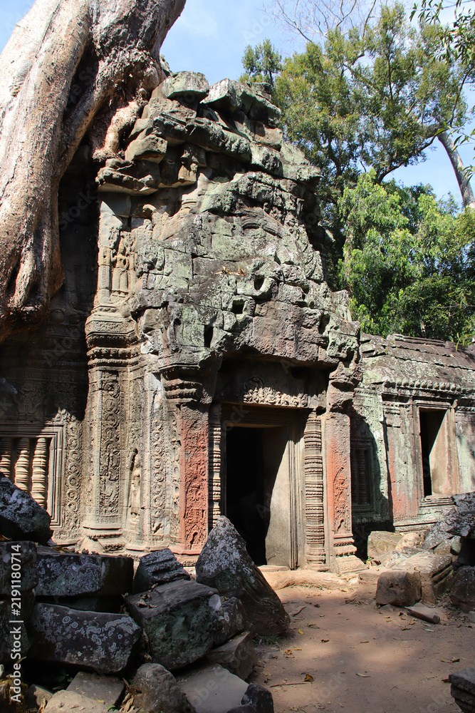 Obraz premium ruined buddhist and hindu khmer temple (ta prohm) in angkor in siem reap in cambodia 