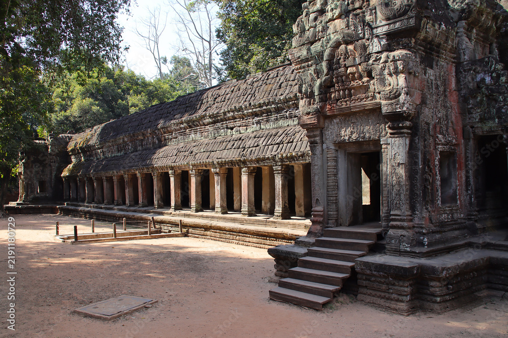 Obraz premium ruined buddhist and hindu khmer temple (ta prohm) in angkor in siem reap in cambodia 