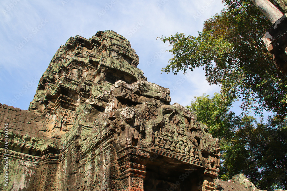 Obraz premium ruined buddhist and hindu khmer temple (ta prohm) in angkor in siem reap in cambodia 