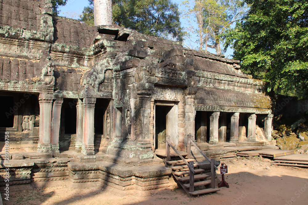 Obraz premium ruined buddhist and hindu khmer temple (ta prohm) in angkor in siem reap in cambodia 