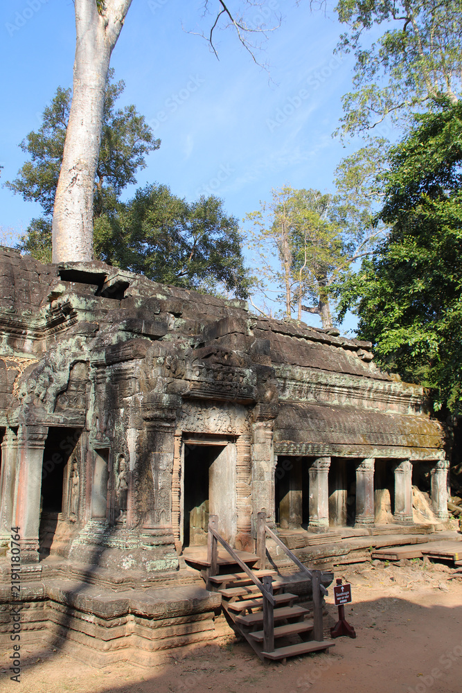 Obraz premium ruined buddhist and hindu khmer temple (ta prohm) in angkor in siem reap in cambodia 
