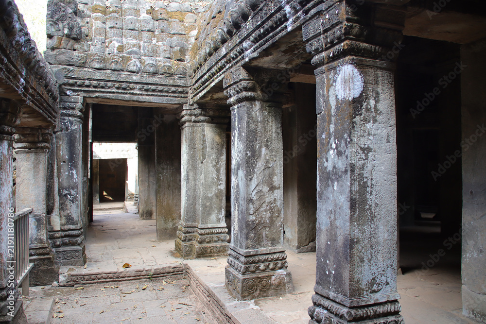 Fototapeta premium ruined buddhist and hindu khmer temple (ta prohm) in angkor in siem reap in cambodia 