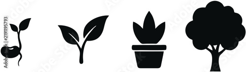 Set of plant growth life cycle stage silhouettes from seed to big tree
