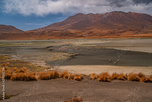 Foto Panorama with a few hundred James and Chilean flamingos in the Canapa Lagoon in the Andes mountain range near the Uyuni salt flat, Bolivia