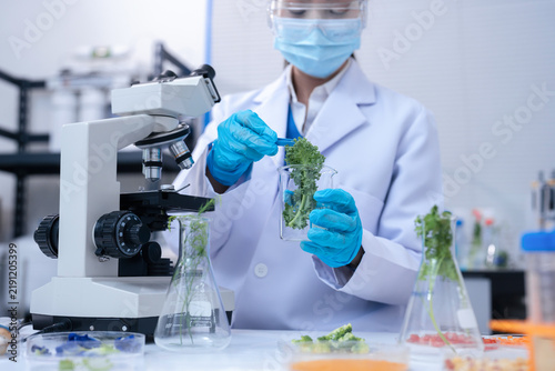 Quadro su tela Team food safety scientists testing meat samples in laboratory for contamination and chemical residue analysis