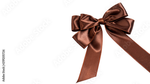 Bild auf Leinwand Elegant brown silk ribbon bow celebratory decorative holiday gift element isolat