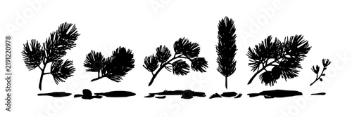 Pine Tree Silhouettes, Botanical Illustration, Forest Design, Nature Icon, Evergreen Tree, Minimalist Vector Graphic.