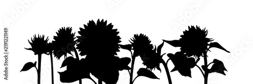 Sunflowers Silhouette Icons, Floral Design Elements, Botanical Illustration Featuring Vector, Graphics