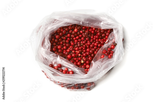 Fresh lingonberries in an open plastic bag, top view against a white background