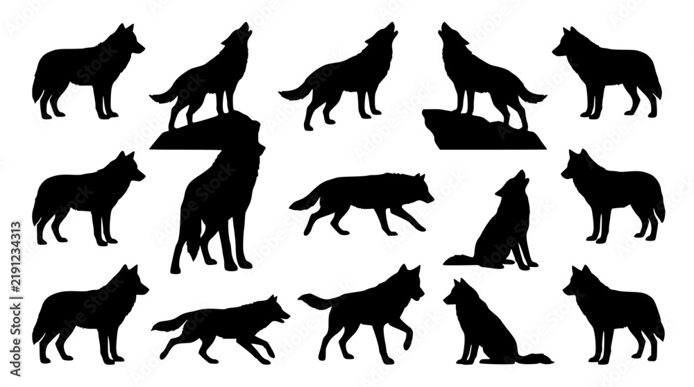 Fototapeta premium Detailed wolf silhouette collection featuring various poses for creative vector design