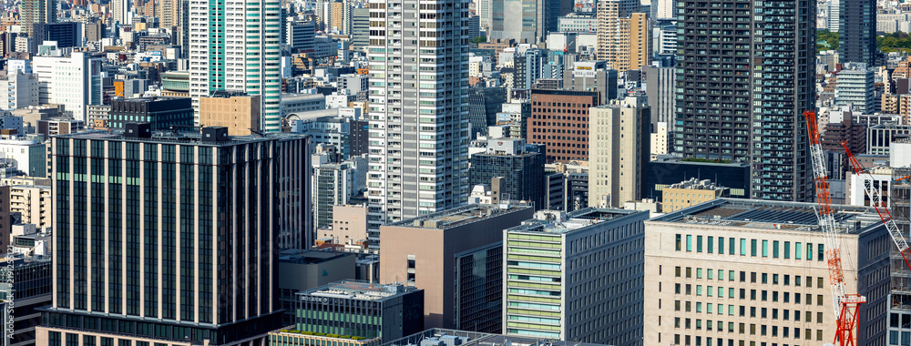 Fototapeta premium Osaka Modern Architecture in a Horizontal Skyline